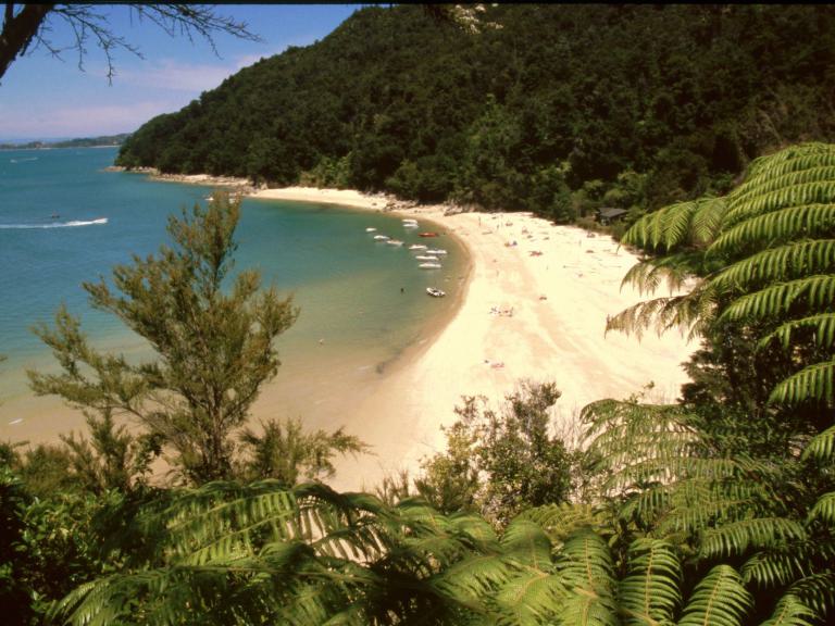 Panoramablick auf einen einsamen, geschwungenen Sandstrand, der von dichtem Wald und türkisfarbenem Meer umgeben ist.